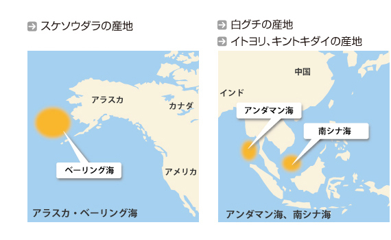 スリ身の産地と魚種
